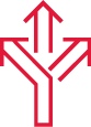 Choice icon
