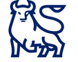 bull icon